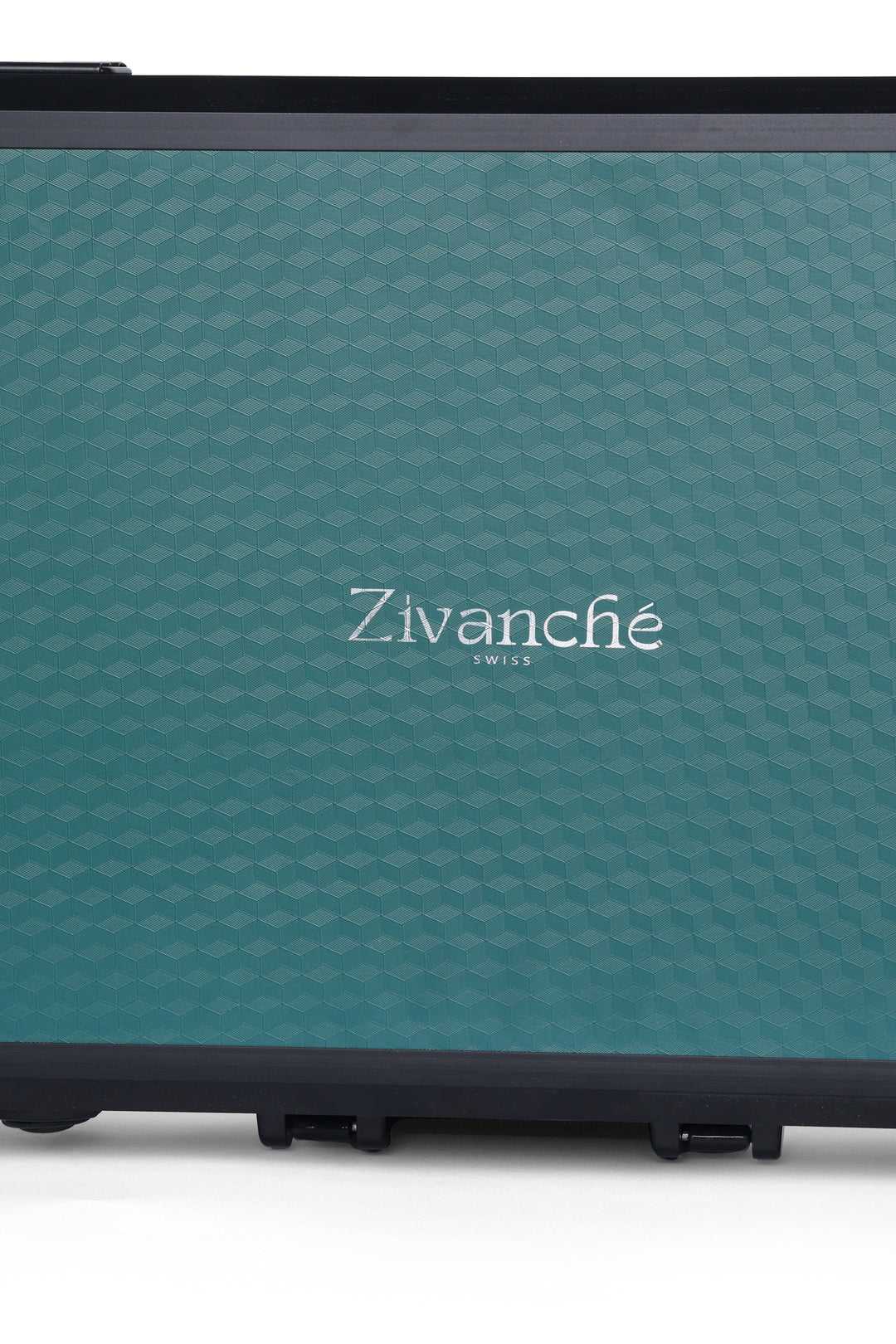 Luxury Watch Case