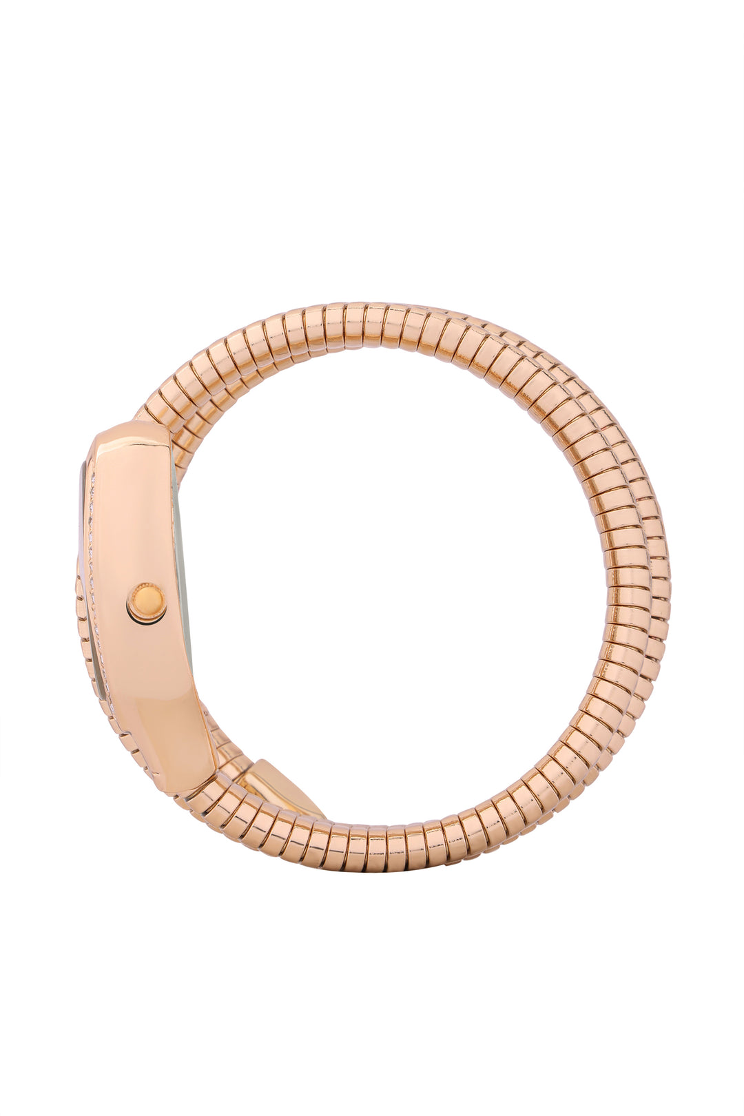 Golden Serpenti Watch