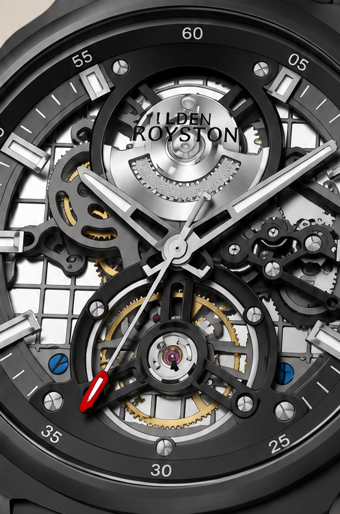 Alden Royston – The Gravity Automatic Watch