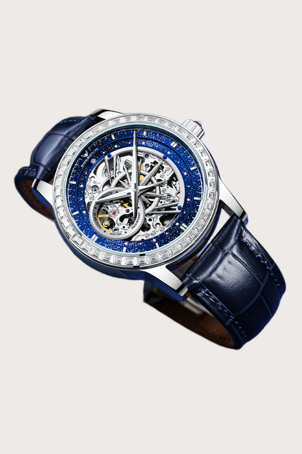 Master of excellence Roerdum Edition Fully Automatic Watch - (44219688)