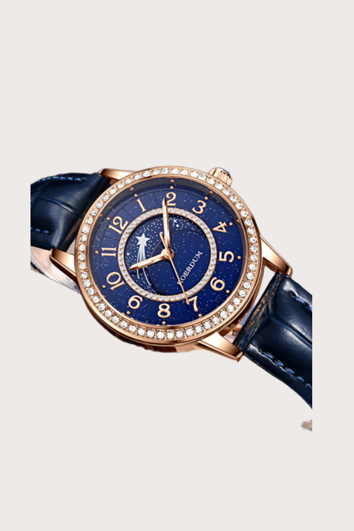 Meteor Shower| Dark Blue  Fully Automatic Watch | A Roerdum Edition
