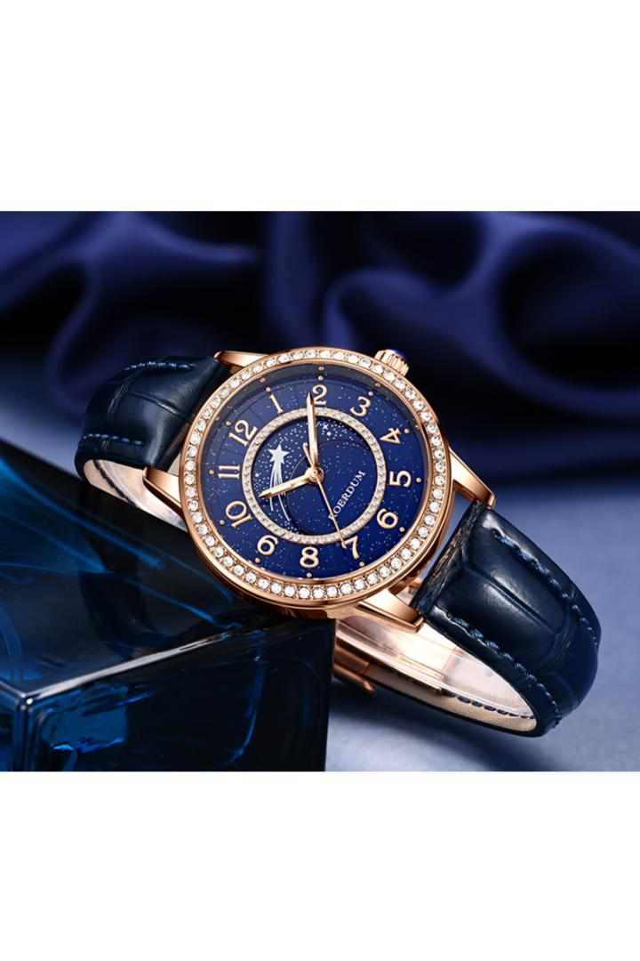Meteor Shower| Dark Blue  Fully Automatic Watch | A Roerdum Edition