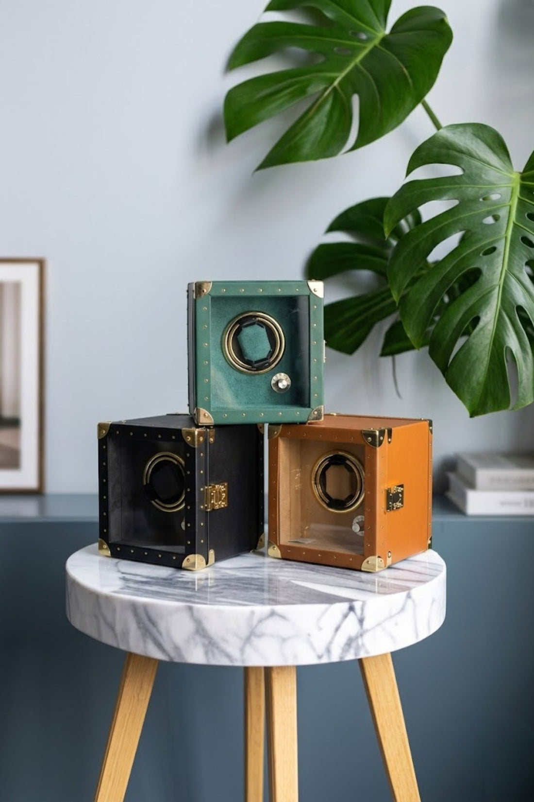 Zivanche 1 Slot Watch Winder
