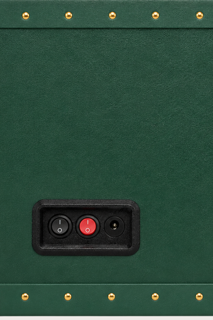 Zivanche Green Golden 2 Slot Watch Winder